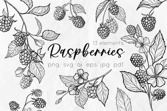 Download Raspberry Line Art SVG Drawings - Drawings Collection